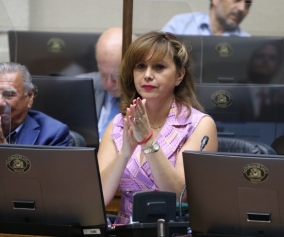 Senadora Carvajal valora decisión de Ministerio de Energía de apoyar a Pymes rebajando límite para futuras alzas de cuentas eléctricas