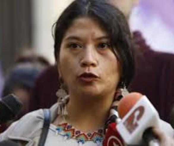 Diputada Ericka Ñanco de Revolución Democrática respalda la libertad de Celestino Córdova, asesino de ancianos