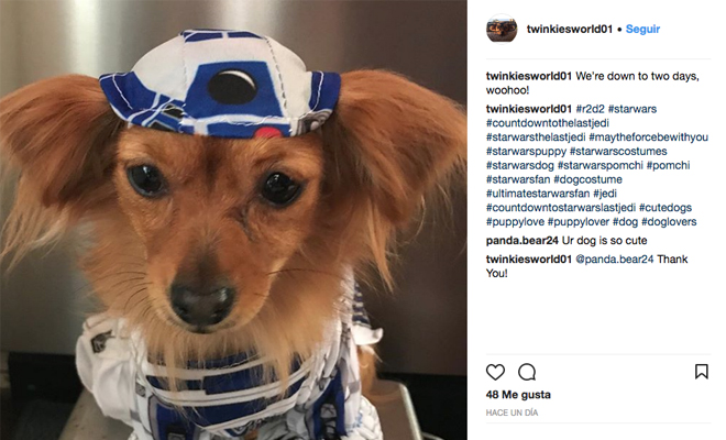 100+ Nombres de Perros de Star Wars para Dominar la Galaxia