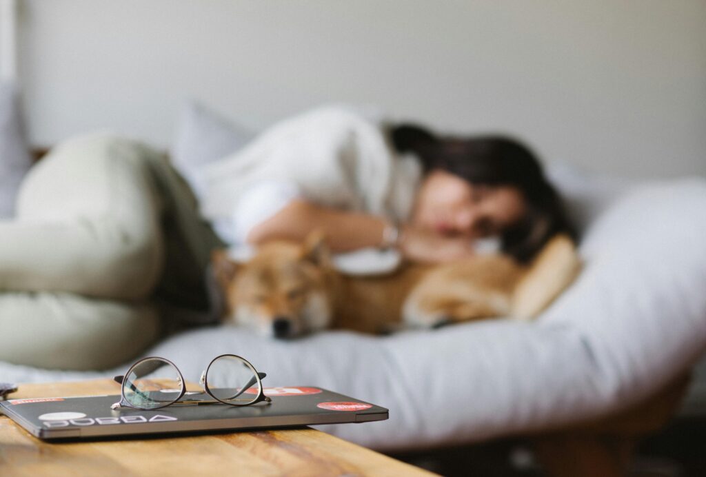 12 Ideas de la lista de deseos para tu perro mayor