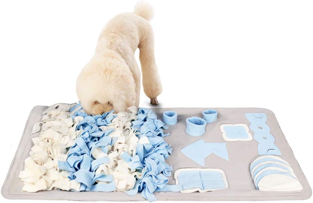 Enriquecimiento Canino: Tapetes olfativos, Paseos para oler y más
