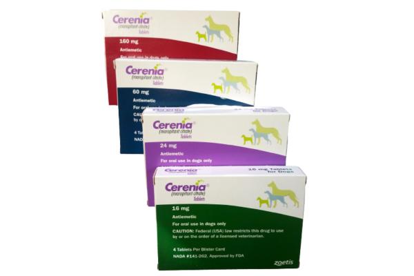 Cerenia para perros